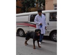 Kazada Ayağını Kaybeden Oscar’a Protez Bacak