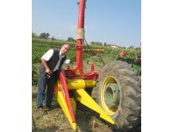 Yeni Tescil Ettirilen Mısır Çeşidinde Yüksek Verim