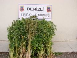 DENİZLİ’DE ESRAR OPERASYONU