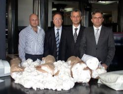 Pamukta Rekolte Hızla Geriliyor
