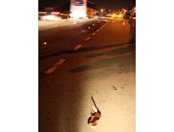 Servis Otobüsünün Çarptığı Kadın Öldü