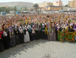 Hasip Kaplan, Operasyonları Eleştirdi!