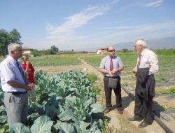 Erbaa Çiftçisi İkinci Hasat İçin Brokoli Ve Karnıbahar Ekecek