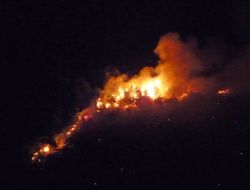 Kozan'da Aynı Ormanda Üç Yangın Çıktı