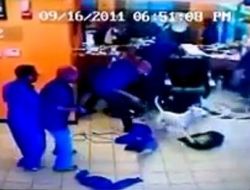 Pitbull Dükkanı Savaş Alanına Çevirdi