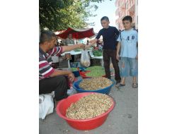 Her Gün 400 Kilo Yerfıstığı Satıyor