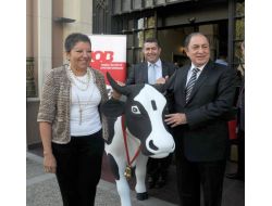 Vob’da Kurbanlık Kontratları Pazartesi Günü Başlıyor