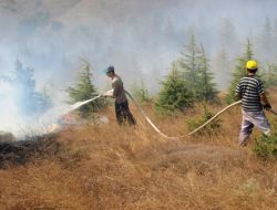 Çay Demlemek İsteyen Çoban, 30 Dönüm Alanı Yaktı