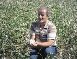 Ceylanpınar'da Sel Üreticiyi Vurdu