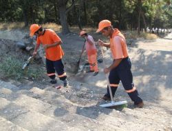 Yumuktepe Höyüğü Temizlendi