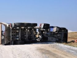 İneğe Çarpmak İstemeyen Sürücü Ölümden Döndü