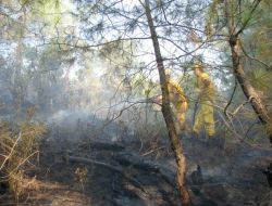 İmamoğlu'ndaki Orman Yangını Kontrol Altına Alındı