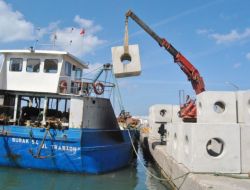 Karadeniz’de Balık Türlerini Geliştirmek İçin Yapay Resifler Yerleştiriliyor