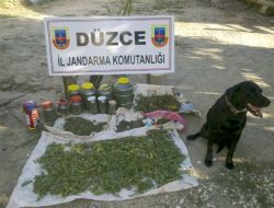 Jandarma 10 Kilo Esrar Ele Geçirdi