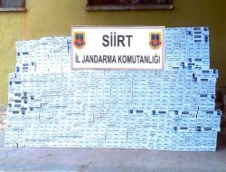 41 Bin Paket Kaçak Sigara Ele Geçirildi
