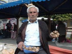 20. Kaman Ceviz Ve Kültür Festivali Başladı