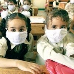 İstanbul'da  Domuz Gribi Yayılıyor!