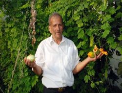 Emekli Oldu Kudret Narı Ve Papila Yetiştirmeye Başladı