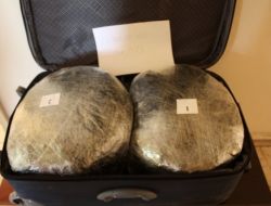 Otobüsteki Yolcudan 18 Kilo Esrar Çıktı