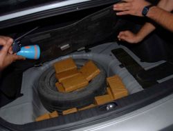 Transit 'Fıstıklar' Jandarmadan Geçmedi