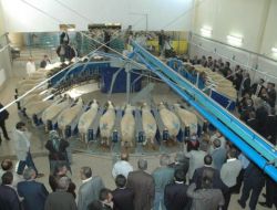 Bozkırın Ortasında Avrupa Standartlarında Hayvan Ve Tohumculuk Çiftliği