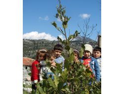 Manavgat'ın 4 Köyünde Defne Kesimi 10 Gün Sonra Bitecek