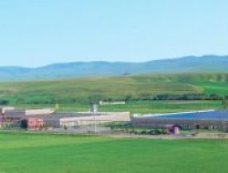 Tse'den Aytaç'a Helal Et Sertifikası