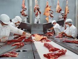 Tse’den İlk Helal Et Sertifikası Aytaç’a