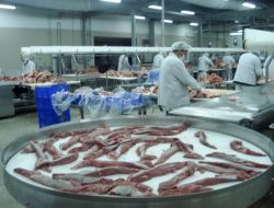 Tse'den İlk 'Helal Et' Sertifikası Aytaç’a