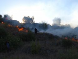 Kozan'da 20 Dönüm Makilik Alan Yandı