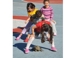 Öğrenciler Hayvanlarıyla Birlikte Okul Bahçesinde Kortej Yürüyüşü Yaptı