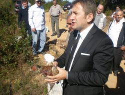 500 Sülün Ve 400 Saka Kuşu Doğaya Salındı