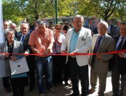 K.ereğli'nin Kedileri İçin Kedi Beslenme Evi Açıldı