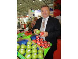 Dünyanın Şampiyon Meyvelerini Türk Markasıyla İhraç Ediyor