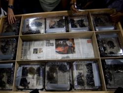 600 Yavru Kaplumbağa Doğaya Bırakılacak