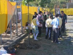 Hayvanlar Aç Kalmasın Diye Yardım Kampanyası Düzenlendi