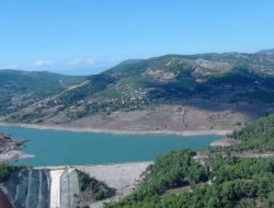 Hatay’da 2011 Yılında 1 Milyon Fidan Toprakla Buluştu