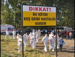 Kuş Gribi Tatbikatı Gerçeğini Aratmadı