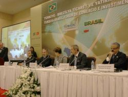 Türkiye Brezilya Ticaret Yatırım Formu