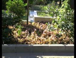 Tenzile Erdoğan Buraya Defnedilecek