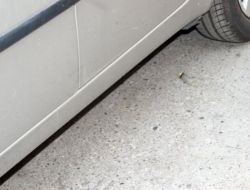 İzmir'deki Kavgada Pompalı Tüfek Kullanıldı