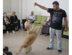 Yaşlılar Hayvan Sevgisiyle Stres Atıyor