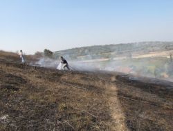 Karasu’da 20 Dönüm Fındıklık Alan Yandı