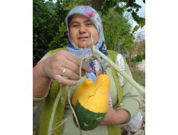 Süs Kabakları Hünerli Ellerde Turistik Eşya Oluyor