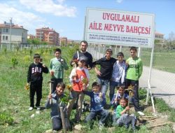 Öğrenciler Ve Aileleri Tarafından Dikilen 128 Meyve Fidanı İlk Mahsülünü Verdi