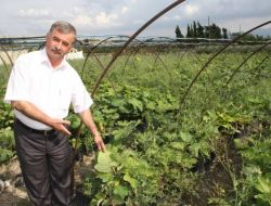 Fidanlı Köyünde Bir Yılda 5 Milyon Fidan Üretildi