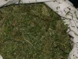 Akçakale'de Kubar Esrar Ele Geçirildi