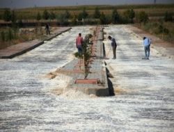 Akçakale Yeni Mezarlık'ta Çevre Düzenleme Çalışmaları Sürüyor