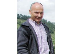 Kestane Ağacından Düşen Şahsın Beli Kırıldı