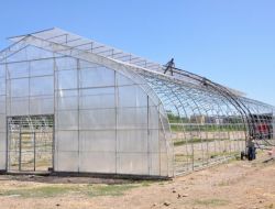 Sivas’taki Atıl Seralarda Yılda 2 Milyon Fidan Yetiştirilecek